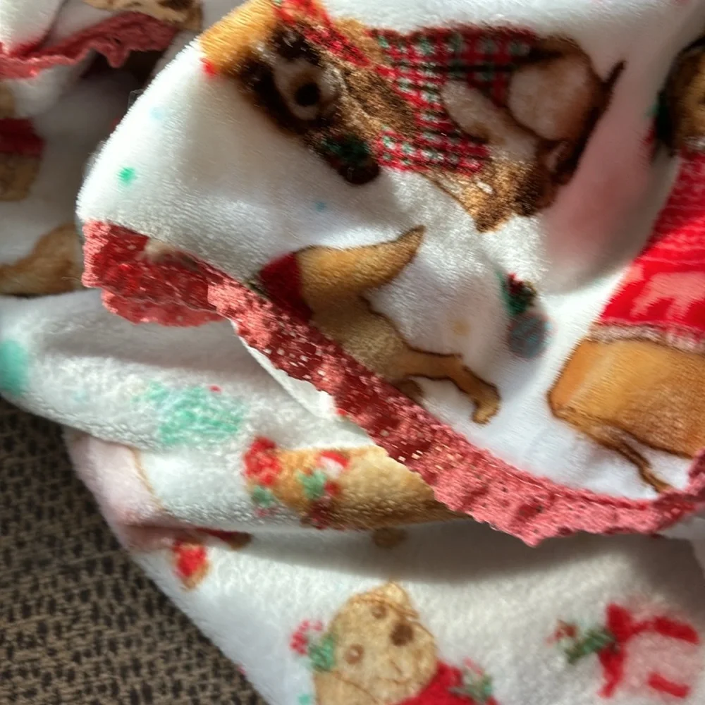 Holiday Velvet Plush Throw